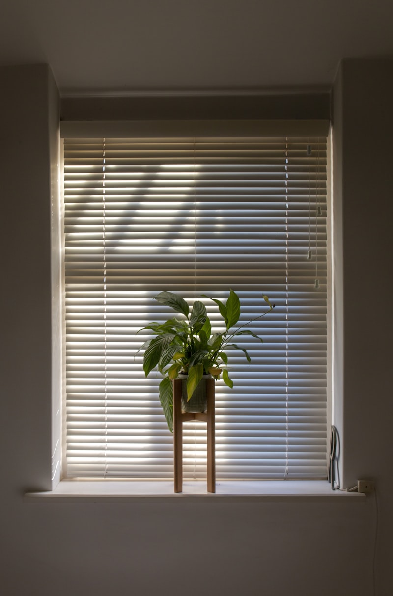 Custom window blinds